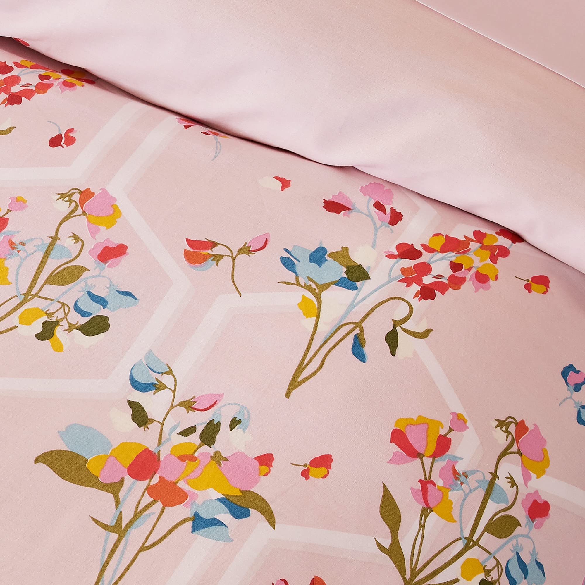 Amazon.com: Ted Baker Peppermint 100% Cotton Sateen 2-Piece